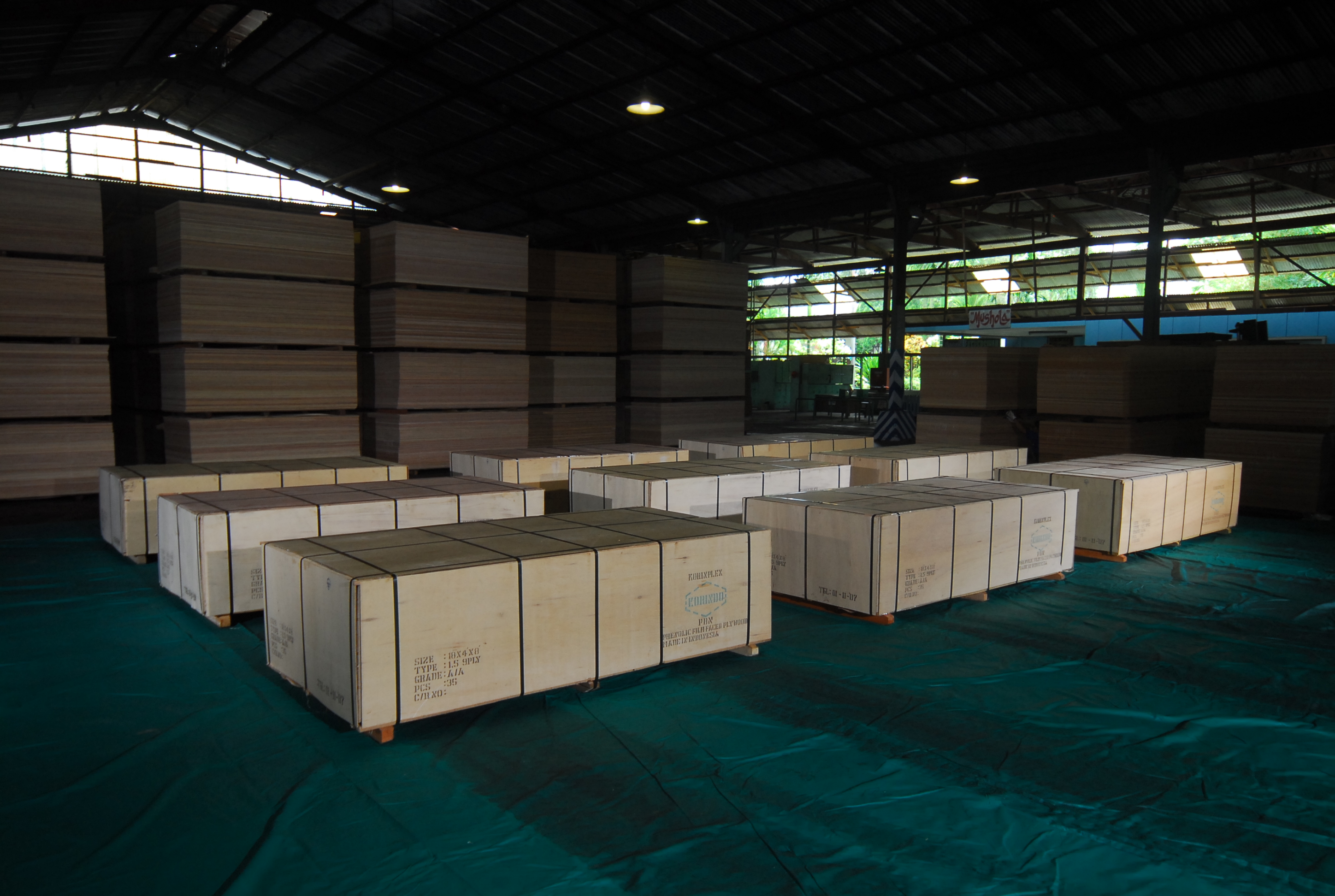 Distributor Triplek/Plywood Korindo | PT. Hanindo Borneo Sari